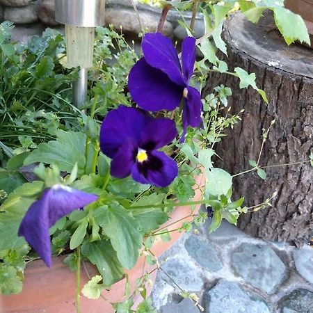 Nina B&B Dilijan Εξωτερικό φωτογραφία