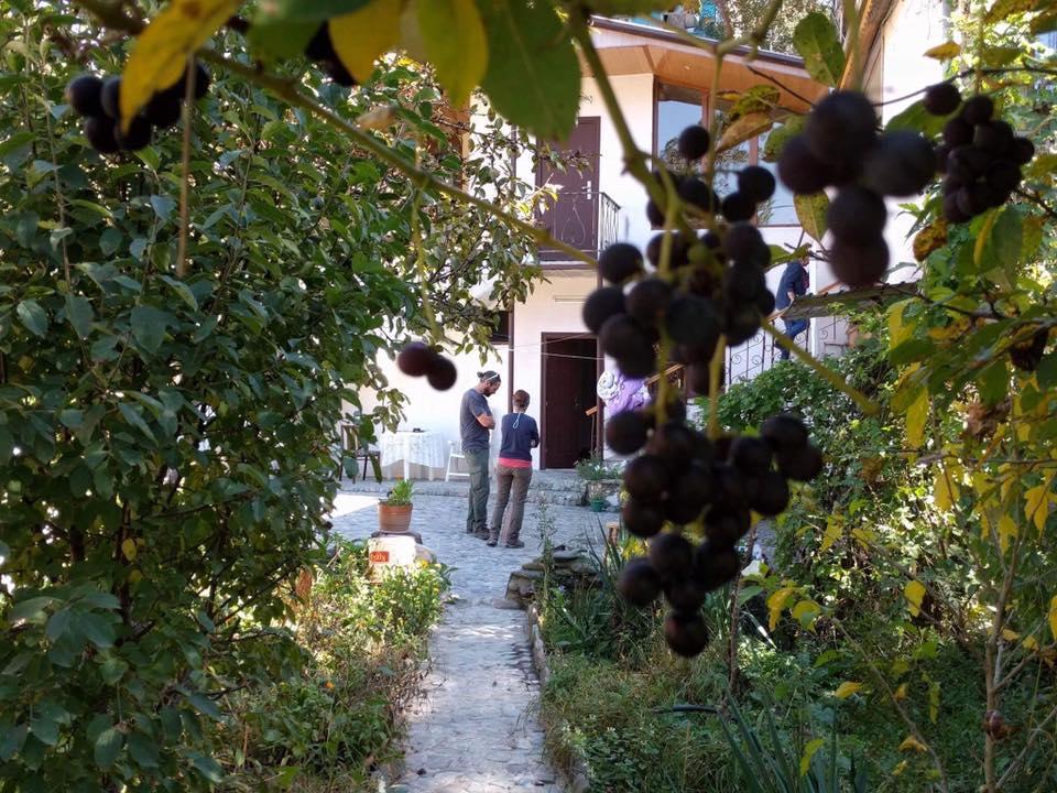 Nina B&B Dilijan Εξωτερικό φωτογραφία